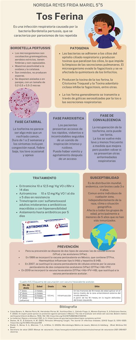 infografía sobre la transmisión de la tos ferina