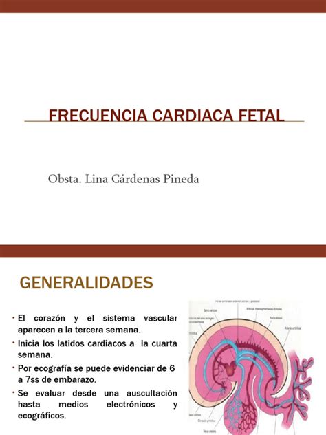 Gráfico comparativo de latidos cardíacos fetales normales, bradicardia y taquicardia