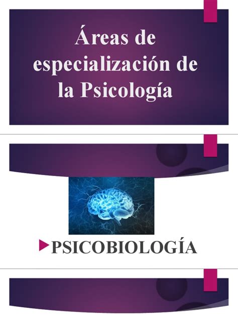 esquema que ilustra las áreas de especialización en endocrinología pediátrica