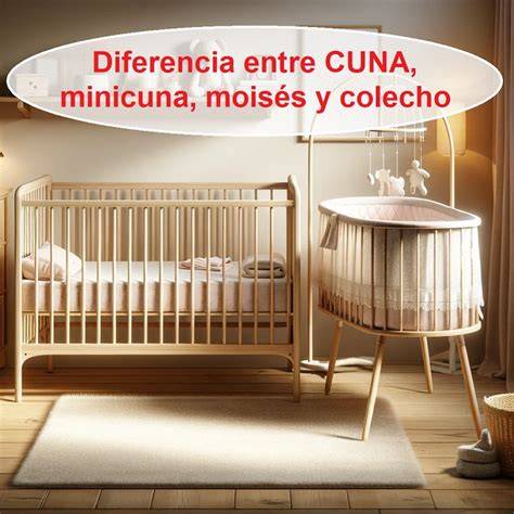 Tabla comparativa de moisés y cuna colecho