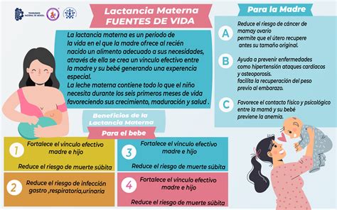 Esquema sobre los efectos del ejercicio materno en la lactancia y el bebé