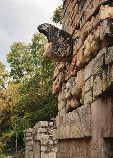 Detalle de escultura de guacamaya en sitio arqueológico maya