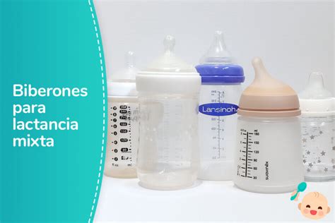Infografía comparativa que muestra los diferentes tipos de calienta biberones: domésticos, de coche y portátiles inalámbricos.