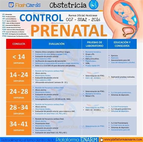 tabla o diagrama del calendario de pruebas prenatales