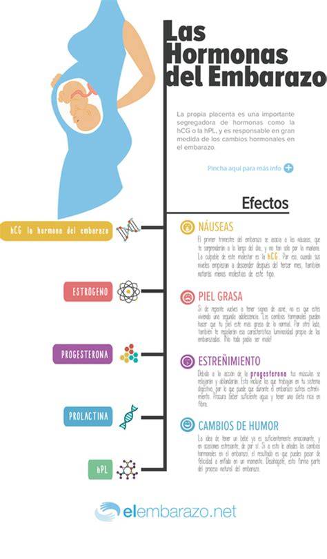 Infografía sobre los cambios hormonales y su impacto en el sistema digestivo durante el embarazo