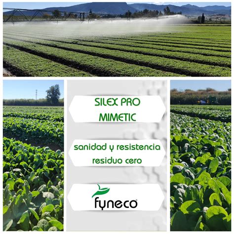Logotipo de FERTILIZANTES Y NUTRIENTES ECOLÓGICOS S.L. (Fyneco)