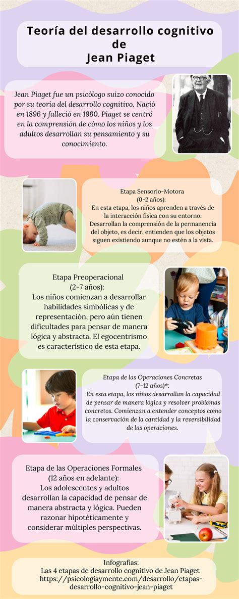 infografía sobre las etapas del aborto felino