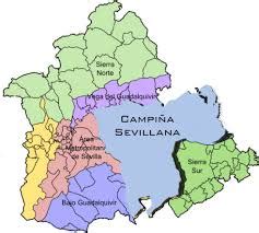 Mapa de la campiña sevillana indicando las zonas de actividad principal (Écija, Fuentes de Andalucía, Carmona y Sierra Morena).