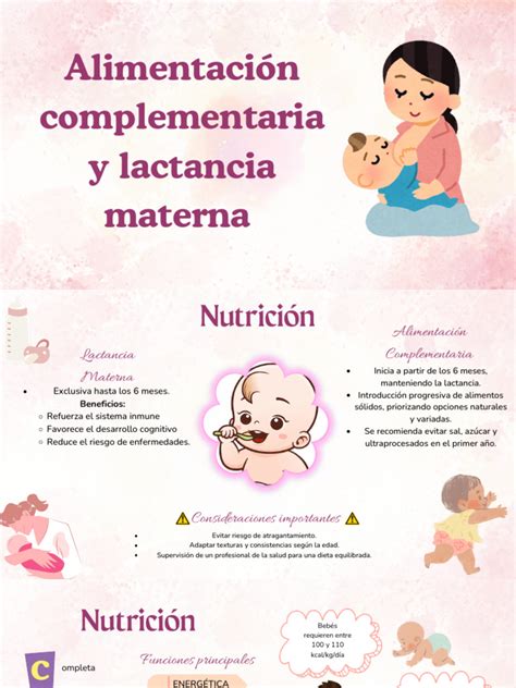 Esquema de transición alimentaria: de la lactancia exclusiva a la incorporación de purés y trozos blandos.