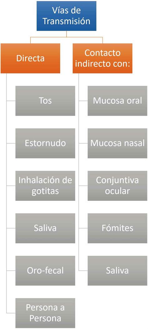 diagrama de flujo que muestra las vías de transmisión y los patógenos comunes en la sepsis neonatal temprana y tardía