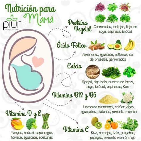Ilustraciones de alimentos saludables recomendados para embarazadas.