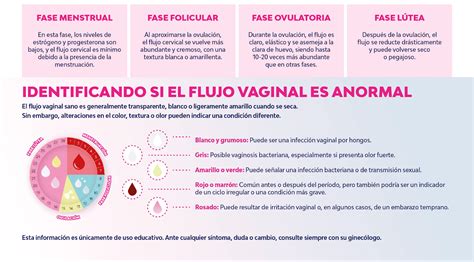 Esquema sobre la función protectora del flujo vaginal y la formación del tapón mucoso en el cuello uterino.