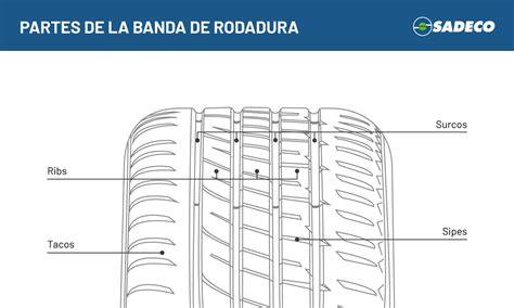 Esquema técnico que muestra las partes de una rueda de cuna: eje, rodamiento, banda de rodadura y sistema de freno.