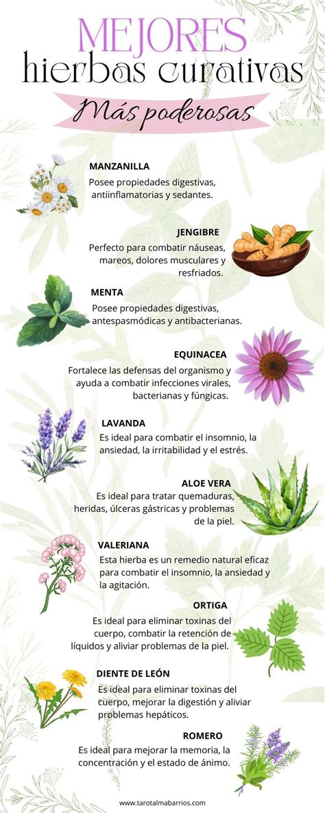 Tabla detallada de hierbas con sus efectos secundarios, incluyendo mención a plantas como el epazote, eucalipto y sávila.
