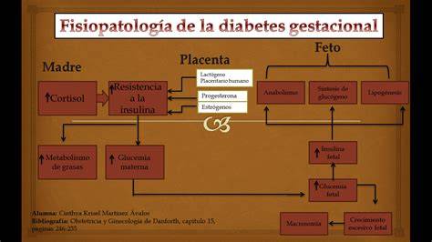 Esquema sobre la fisiopatología de la diabetes gestacional y su impacto en el metabolismo materno-fetal