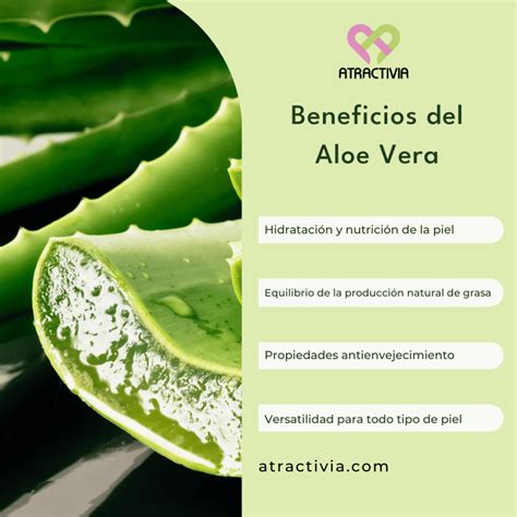 Ilustración de los beneficios del Aloe Vera para la piel del bebé