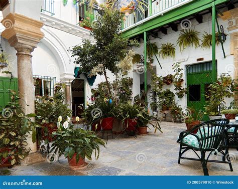 Fotografía de un patio central andaluz típico en Medina Sidonia con elementos de vegetación local.