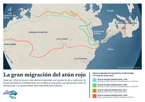 Mapa de la migración de la orca ibérica siguiendo al atún rojo