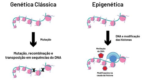 ilustração mostrando a transmissão de informações genéticas e epigenéticas do pai para o filho