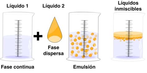 Proceso de emulsión del aceite con la leche utilizando una batidora de brazo.