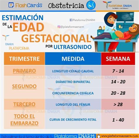 Gráfico comparativo de la precisión de la edad gestacional por ecografía en diferentes trimestres del embarazo.