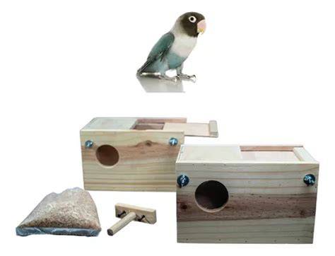 Esquema general de un nido adecuado para agapornis con materiales naturales para la construcción.