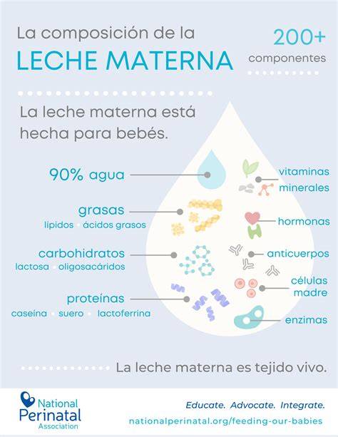 Infografía paso a paso mostrando la mezcla de leche materna con resina en un entorno doméstico