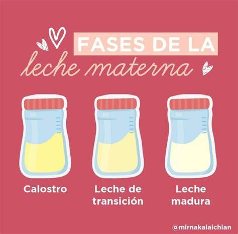 Esquema de las tres fases de lactancia y recomendación de dispositivos según cada una.