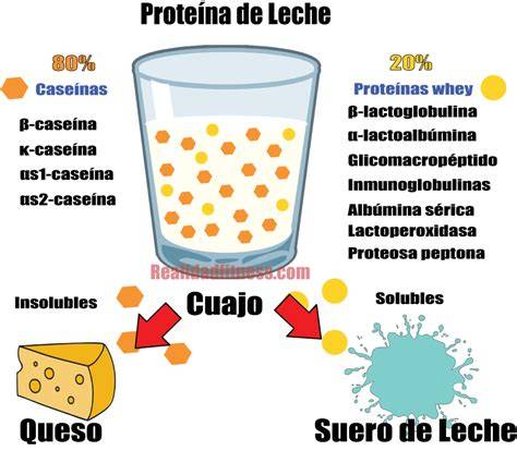 esquema comparativo de las proteínas en la leche humana frente a la leche de vaca