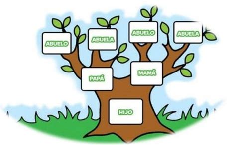 Esquema de un árbol genealógico matrilineal con círculos que representan a las mujeres de la triada