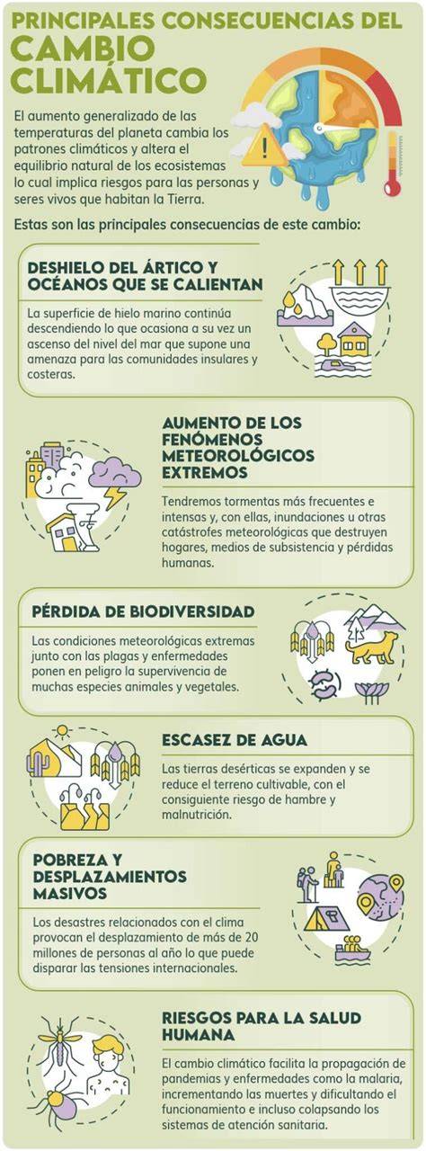 Esquema de las causas y efectos del movimiento hippie