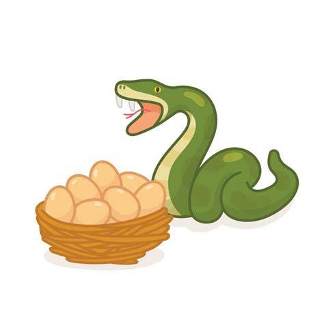 Ilustración de serpiente ovovivípara con huevos desarrollándose internamente