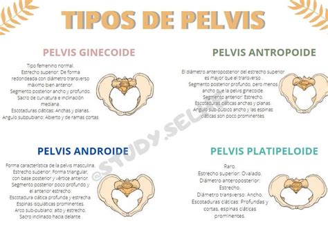 Tabla comparativa de los diferentes tipos de pelvis materna y sus características