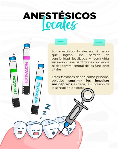 Infografía: Tipos de locales comerciales y sus usos