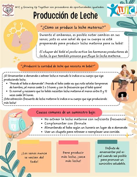 Esquema de las causas de la baja producción de leche materna