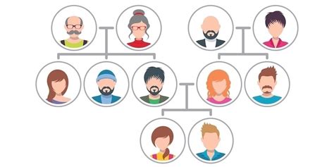 Diagrama de árbol familiar mostrando la estructura de una familia reconstituida
