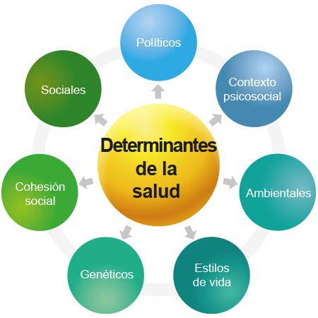 Esquema de los determinantes de la salud perinatal: factores biológicos, sociales y asistenciales.