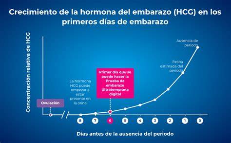 Esquema que muestra el aumento de la hormona hCG desde la concepción hasta el primer trimestre.