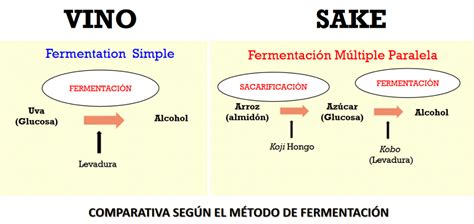 Infografía detallando el proceso de elaboración del sake japonés, desde el pulido del arroz hasta la fermentación.