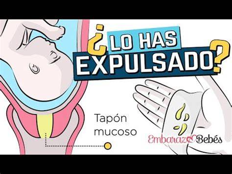 Esquema anatómico mostrando la ubicación del tapón mucoso en el cuello uterino como barrera protectora