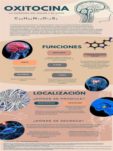 Infografía ilustrando el papel de la oxitocina durante la lactancia y su efecto en la contracción uterina.