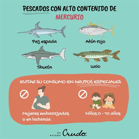Tabla comparativa de pescados, indicando cuáles son bajos en mercurio y recomendables, y cuáles deben evitarse durante la lactancia.