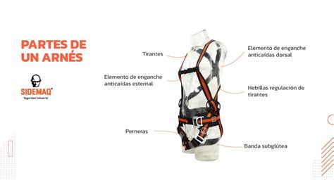 Diagrama detallado del ajuste de las correas del arnés y su correcta posición