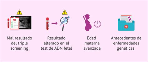 Infografía detallando los diferentes tipos de pruebas de diagnóstico prenatal