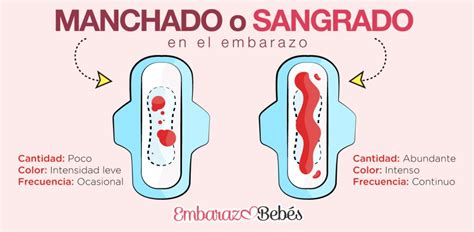 diagrama que muestra las etapas tempranas del embarazo y posibles causas de sangrado