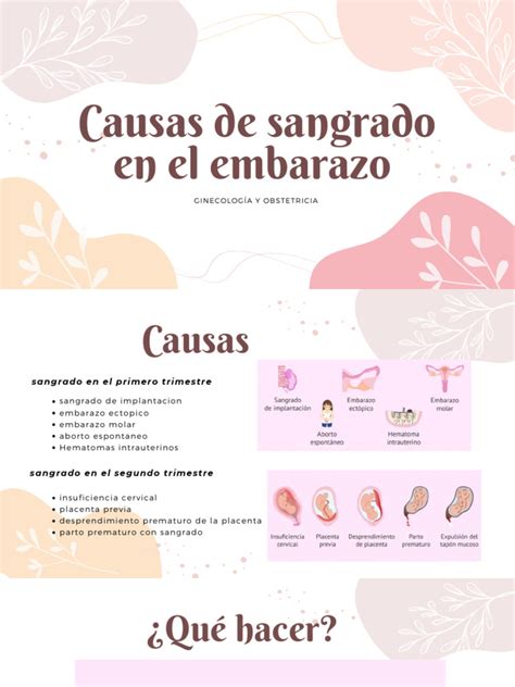 infografía comparando diferentes tipos de sangrado durante el embarazo y sus posibles causas