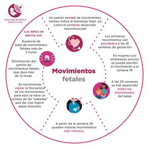 Infografía sobre la importancia de monitorear los movimientos fetales y cuándo buscar ayuda médica