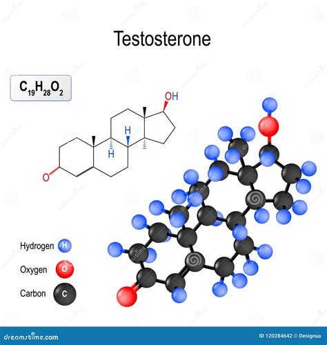 Esquema de la molécula de testosterona y su estructura química