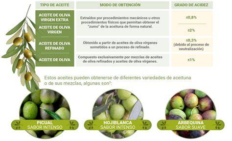 Infografía: Componentes saludables del aceite de oliva virgen extra