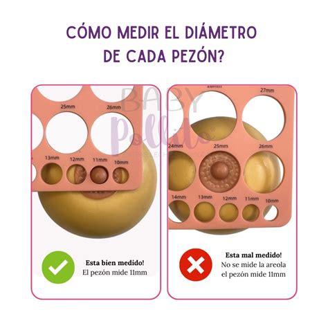 diagrama de cómo medir el diámetro del pezón para elegir la talla del embudo
